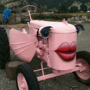 Meet your Posher, Misty